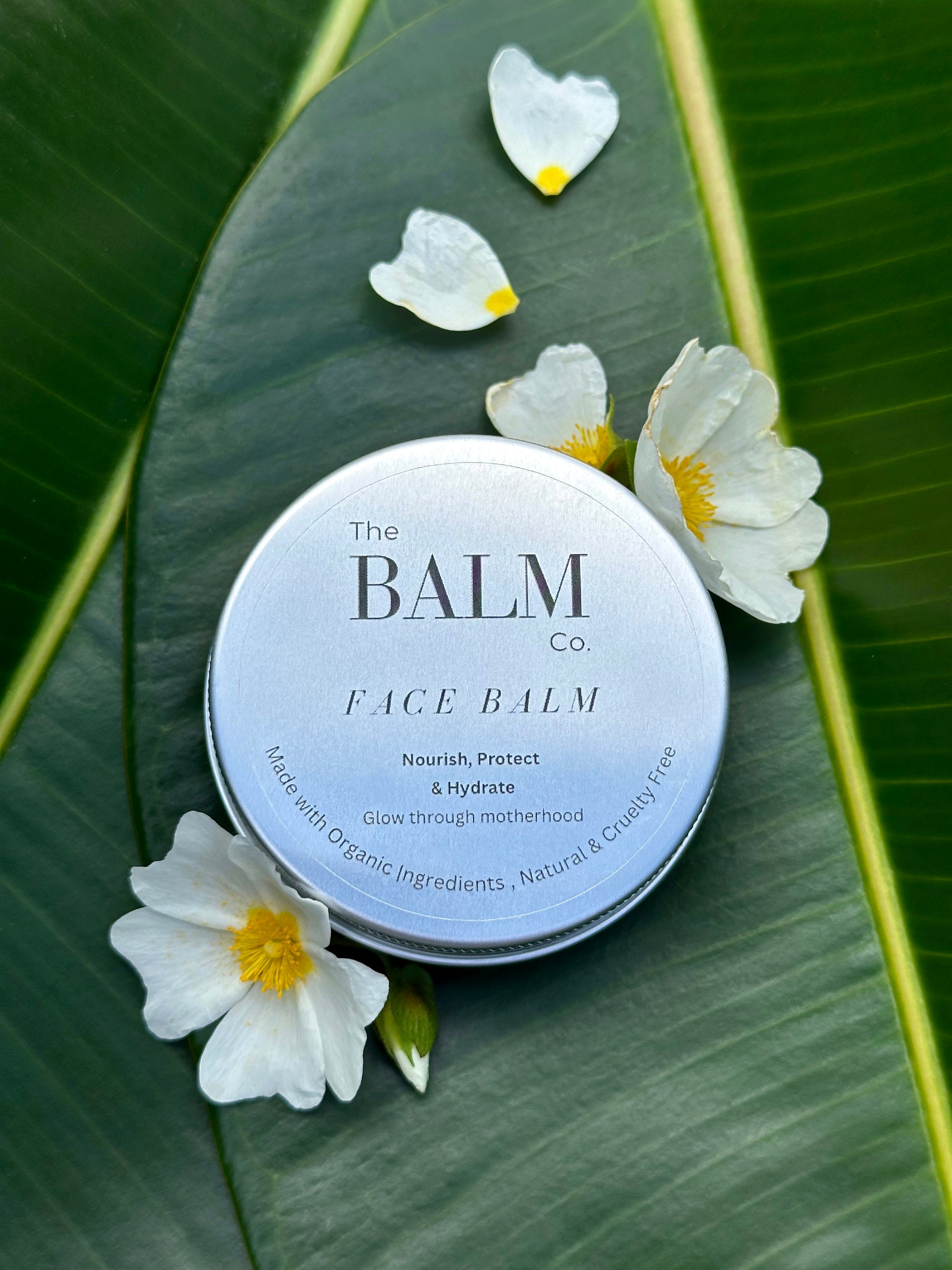 Face Balm (Pre-Order)