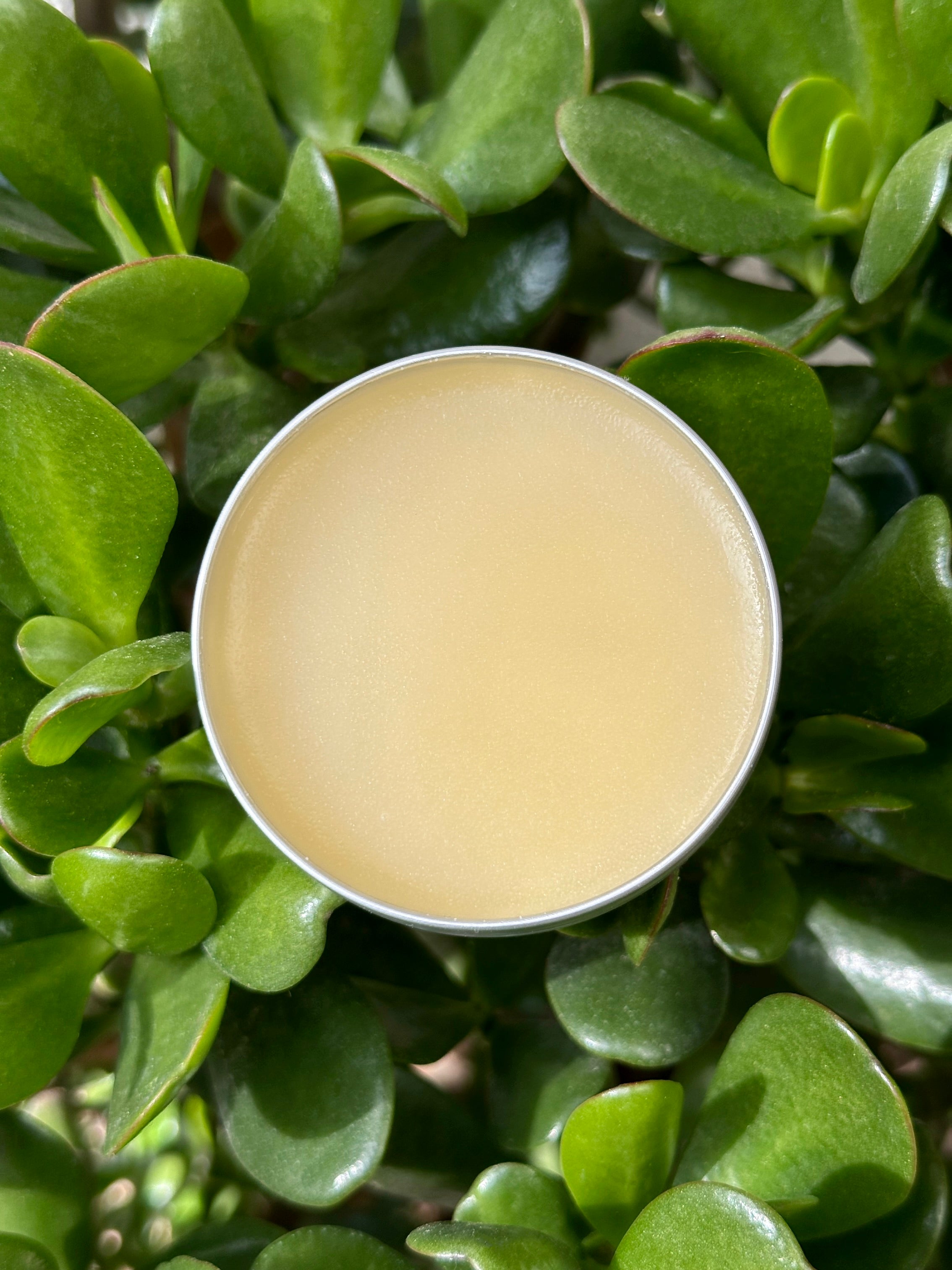 All Over Balm (Pre-Order)