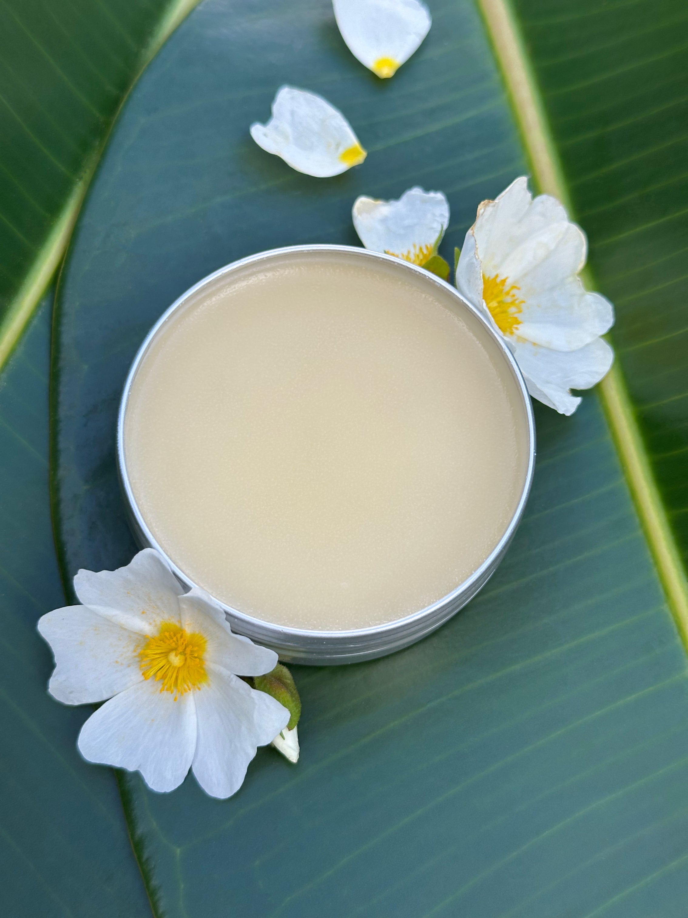 Face Balm (Pre-Order)