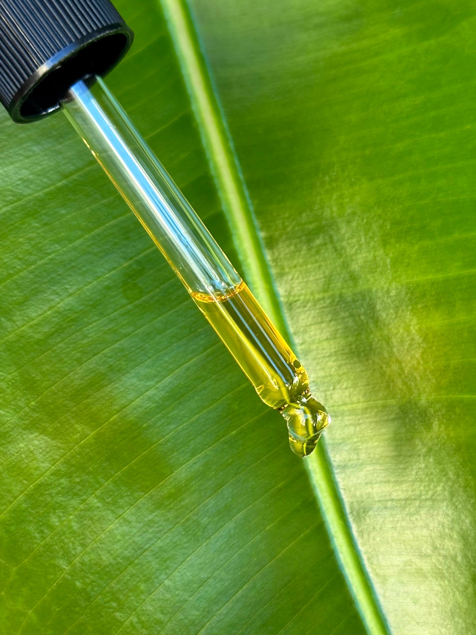 RENEWOIL - Natural Retinol Alternative